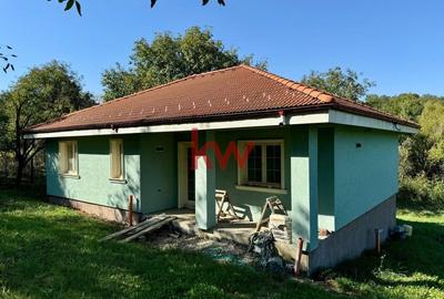 Casa noua Demisol+Parter 165 MP + Teren 2000 MP - Ciurea - 3