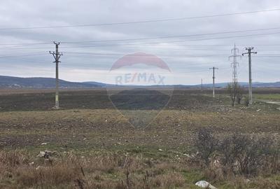 Teren agricol extravilan de 41025 mp, în Periferie - 4