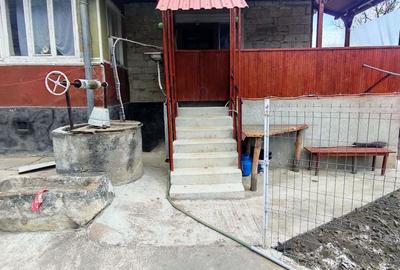Vand casa cu gradina - 2
