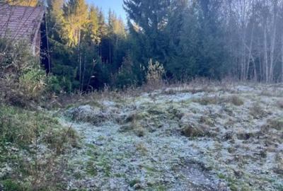 Teren de 19984 mp, în Mănăstirea Humorului - 1