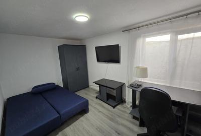 Garsonieră decomandată în Buziașului - 3