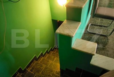 Casă individuală cu 7 camere cu Teren 1430 Mp în Sud - 13