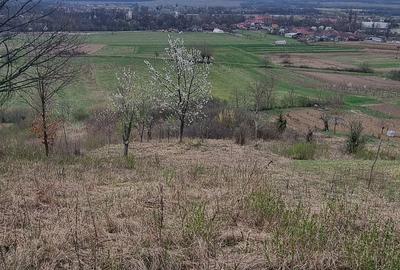 Spațiu comercial, în Remetea - 6