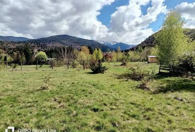 Teren de 2000 mp, în Berivoi - 3