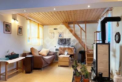 Casa cu teren 2052 mp in Saldabagiu de Munte - 10