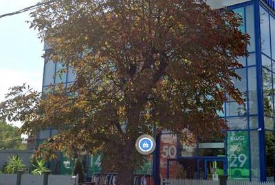 Spațiu comercial, de 822 mp, în Militari - 2