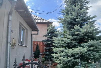 Casă cu Teren 40 Mp în Central - 5