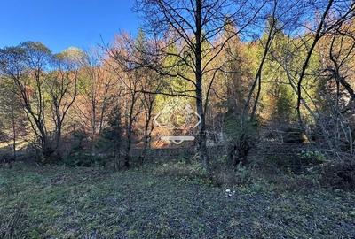 Teren 2.882 mp – oportunitate investitie - Cheile Dâmbovicioarei - 8