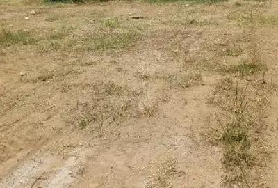 Teren de 3500 mp, în Theodor Pallady - 5