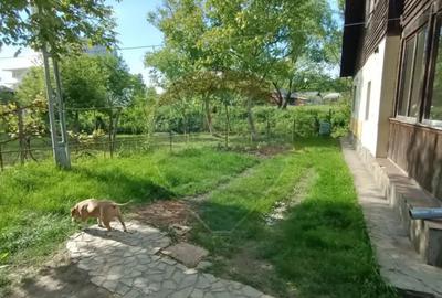 Casă cu 3 camere cu Teren 3000 Mp în Copalnic - 13