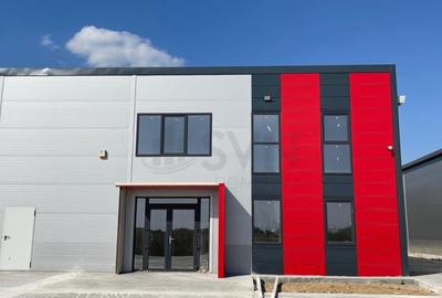 Hale depozitare de in zona de Nord Chitila Hale depozitare de in zona de Nord Chitila - 4