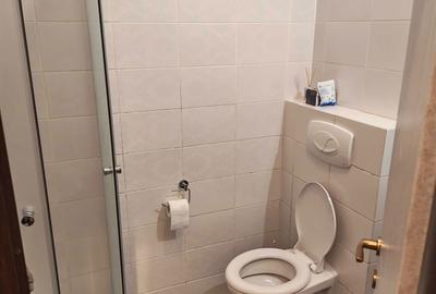Apartament cu 3 camere semidecomandat, mobilat în Copou - 8