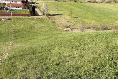 Spațiu comercial, în Central - 2