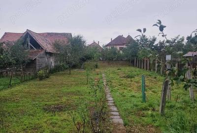 Casă cu 5 camere cu Teren 1000 Mp în Central