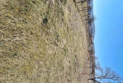 Spațiu comercial, în Lăzărești (Schitu Golești) - 1