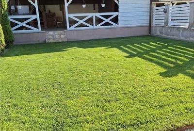 Casă cu 4 camere cu Teren 400 Mp în Corunca - 5