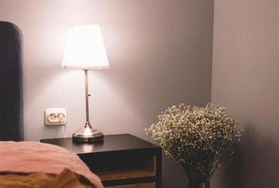 Apartament de inchiriat cu 2 camere situat in centru Cluj Napoca - 4