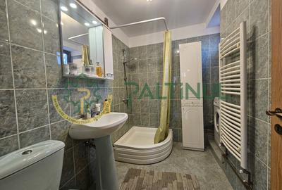 Apartament cu 3 camere decomandat, mobilat în Calea Dumbrăvii - 14