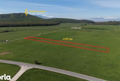 Teren de 4300 mp, în Sânpetru - 3