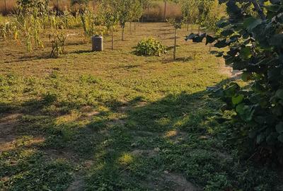 Casă cu 3 camere cu Teren 1000 Mp în Merei