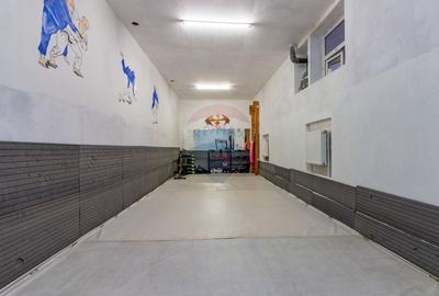 Vila spatioasa si versatila - Zona Margeanului, Bucuresti - 3