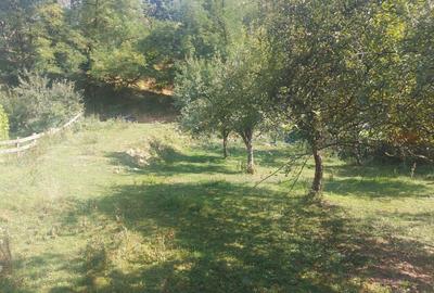 Spațiu comercial, în Achimețești - 6