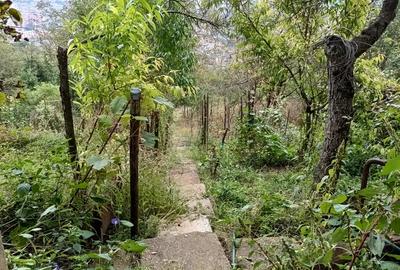 Vand casa la Platoul Cornesti. Nu doresc colab. cu Agentie imobiliara - 8