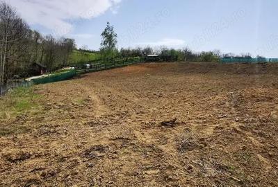 Teren în Calea Caransebeșului - 1