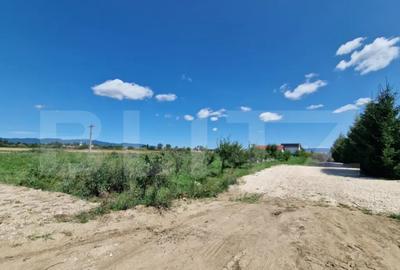 Teren de 6300 mp, în Hălchiu - 5