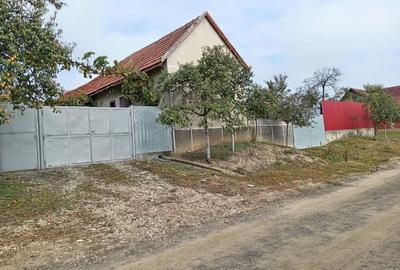 Casă cu 3 camere în Cutina - 3