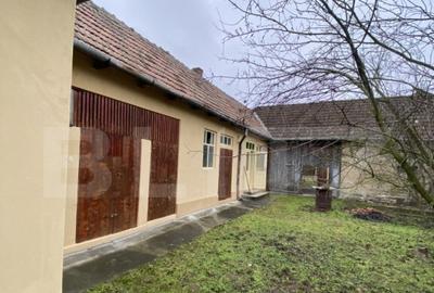 Casa cu anexe ?i 40 ari de gradina - 3