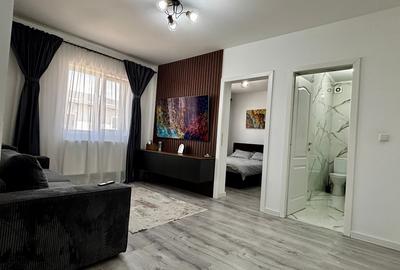 Apartament cu 2 camere semidecomandat, mobilat în Lunca Cetățuii - 3