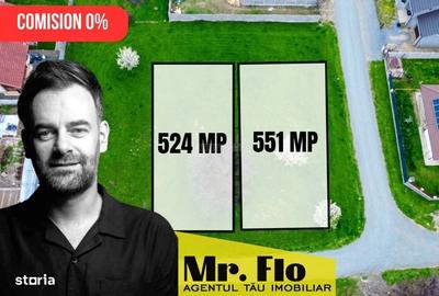 Spațiu comercial, în Moșnița Nouă