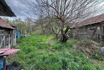 Casă cu 3 camere în Cozma - 2