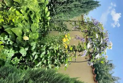 Casă cu Teren 300 Mp în Chiajna - 9