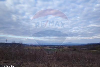 Teren de 5240 mp, în Copalnic - 9