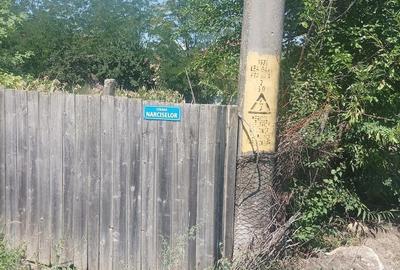 Casă cu Teren 25000 Mp în Blăgești - 5