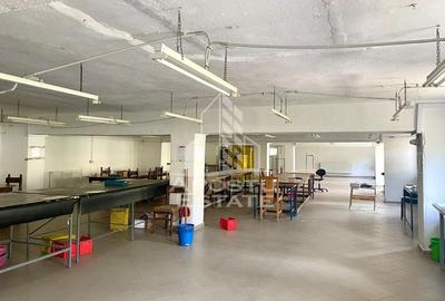 Spatii productie si depozitare, zona Sebis - Prunisor-Carand - 10