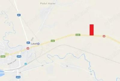 Teren de 61241 mp, în Est - 4