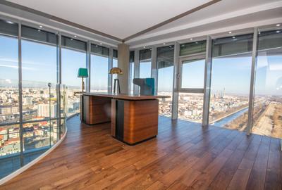 Penthouse de vanzare 5 camere zona Tineretului, Bucuresti 570 mp - 4