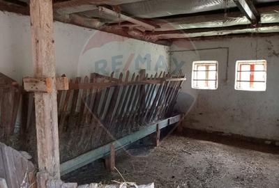 Vanzare casa  4 camere-microferma, cu panouri fotovoltaice - 26