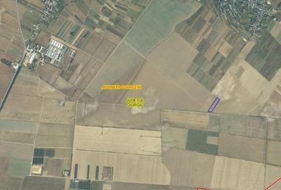Teren Construcții intravilan de 15205 mp, în Adunații-Copăceni - 3