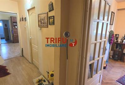 Apartament cu 3 camere semidecomandat în Cetate - 8