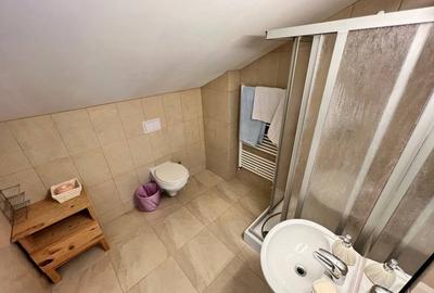 Casă individuală cu 6 camere cu Canalizare în Iancu Nicolae - 41