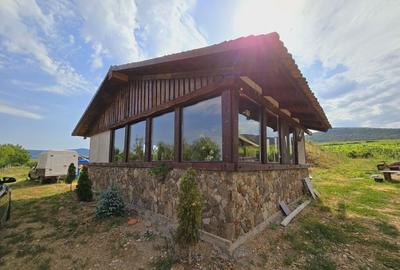 Teren de 80000 mp, în Covăsinț - 13