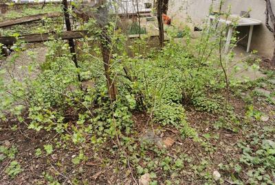 Apartament cu 5 camere decomandat în Central - 17