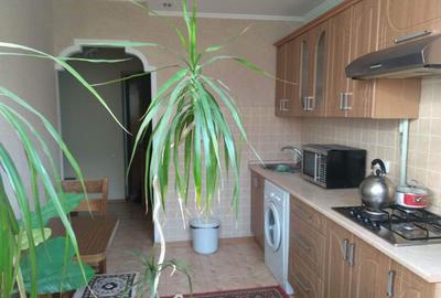 Garsoniera de inchiriat Zizin - 3