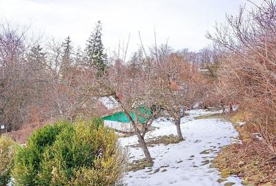 Teren Intravilan - Zona Drumul Poienii - 3