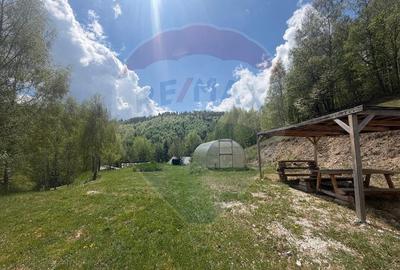 Casă cu 14 camere cu Teren 62330 Mp în Horea - 43