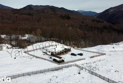 Casă cu 5 camere cu Teren 2000 Mp în Nucșoara - 12